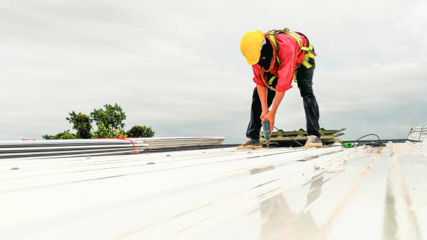Best Skylight Installation and Repair  in Thorofare, NJ